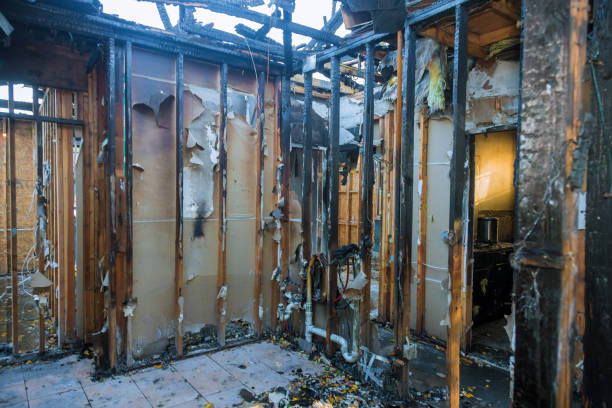 Professional Odor Removal technician working in Mansfield, MO